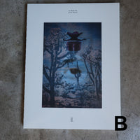 JULIE WOLFE “APOPHENIA”