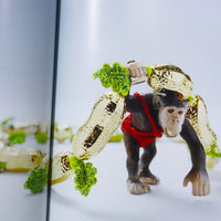 FELIEKE VAN DER LEEST 『The Zoo of Life』