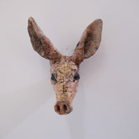 SASKIA DE ROOY ANIMAL MASK AADVARK