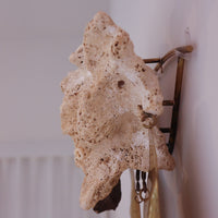 O'Tru no Trus OBJECT 40 木と珊瑚