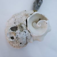 O'Tru no Trus OBJECT 39 貝