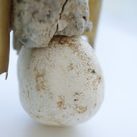 O'Tru no Trus OBJECT 29 プラスチック、発砲スチロール