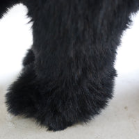 DITZ DESIGNS BLACK BEAR FOOT STOOL