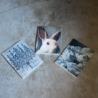 JULIE WOLFE “APOPHENIA”