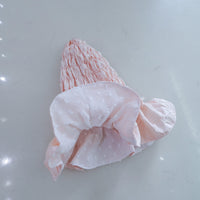 CALL FLOWER BELL HAT