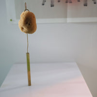 O'Tru no Trus OBJECT 30 海綿