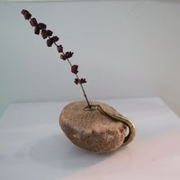 O'Tru no Trus OBJECT 50 浮