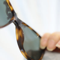 ANIGIG MOLDING GLASSES TORTOISESHELL×ICEGREY