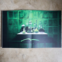 JULIE WOLFE “APOPHENIA”