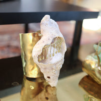 O'Tru no Trus OBJECT 05 貝