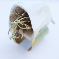 O'Tru no Trus OBJECT 12 牛の骨