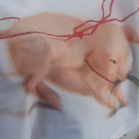 CHOPOVA LOWENA SNOWY PIG FITTED JERSEY TOP