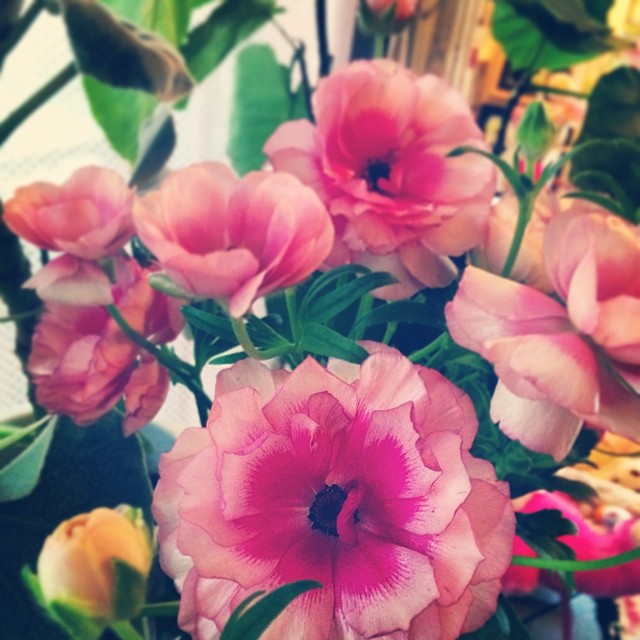 【MEGUMI Unfiltered】#002 Who is Megumi!? Vol.2