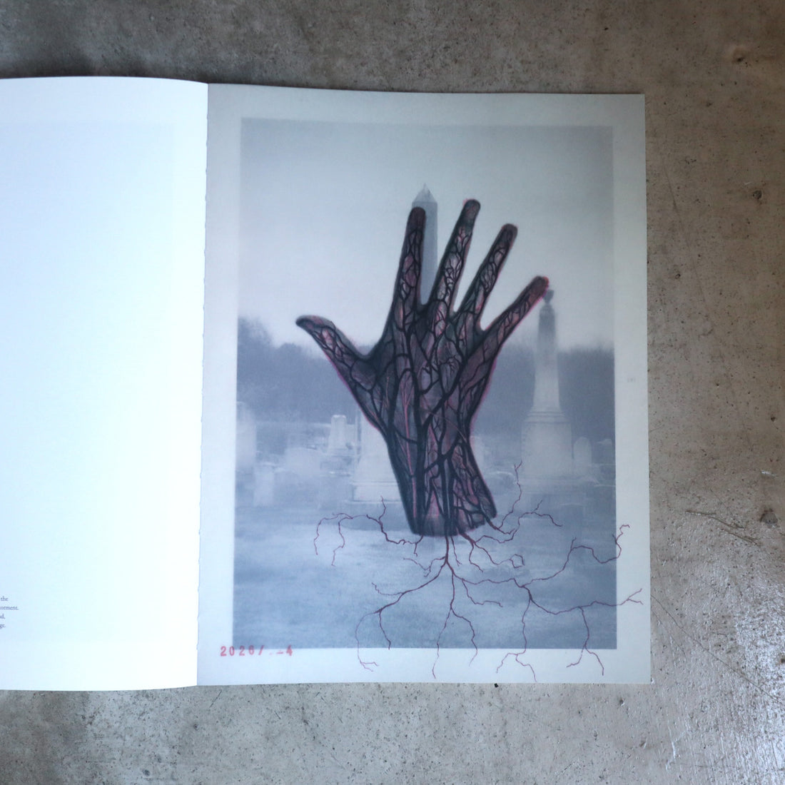 JULIE WOLFE “APOPHENIA”