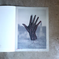 JULIE WOLFE “APOPHENIA”
