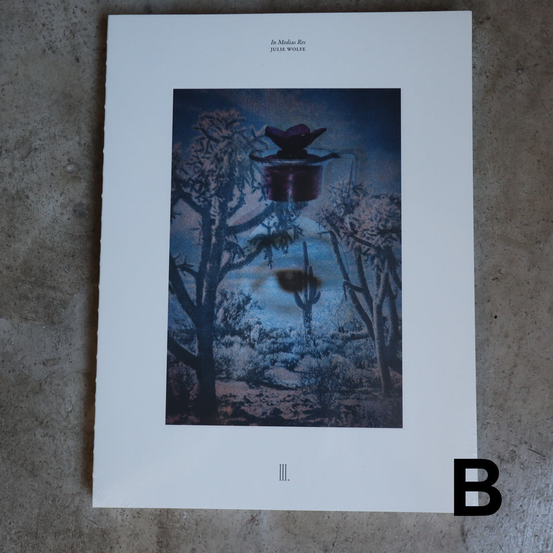JULIE WOLFE “APOPHENIA”