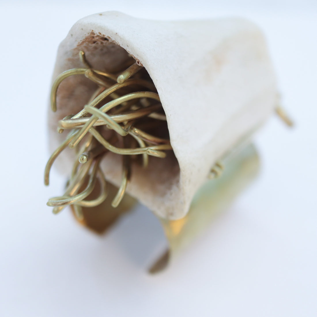 O'Tru no Trus  OBJECT 12 牛の骨