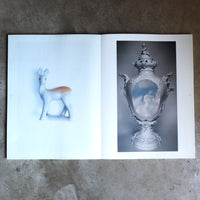 JULIE WOLFE “APOPHENIA”