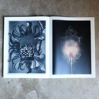 JULIE WOLFE “APOPHENIA”