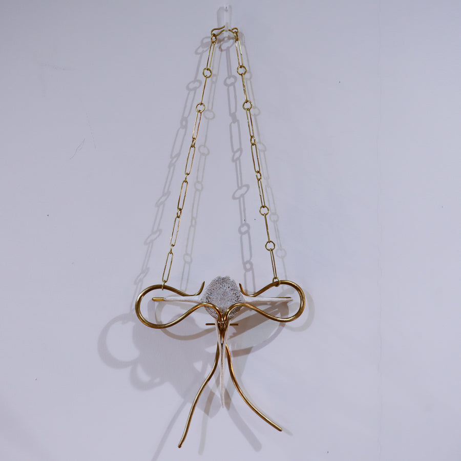 O'Tru no TrusOBJECT 22 イルカの背骨