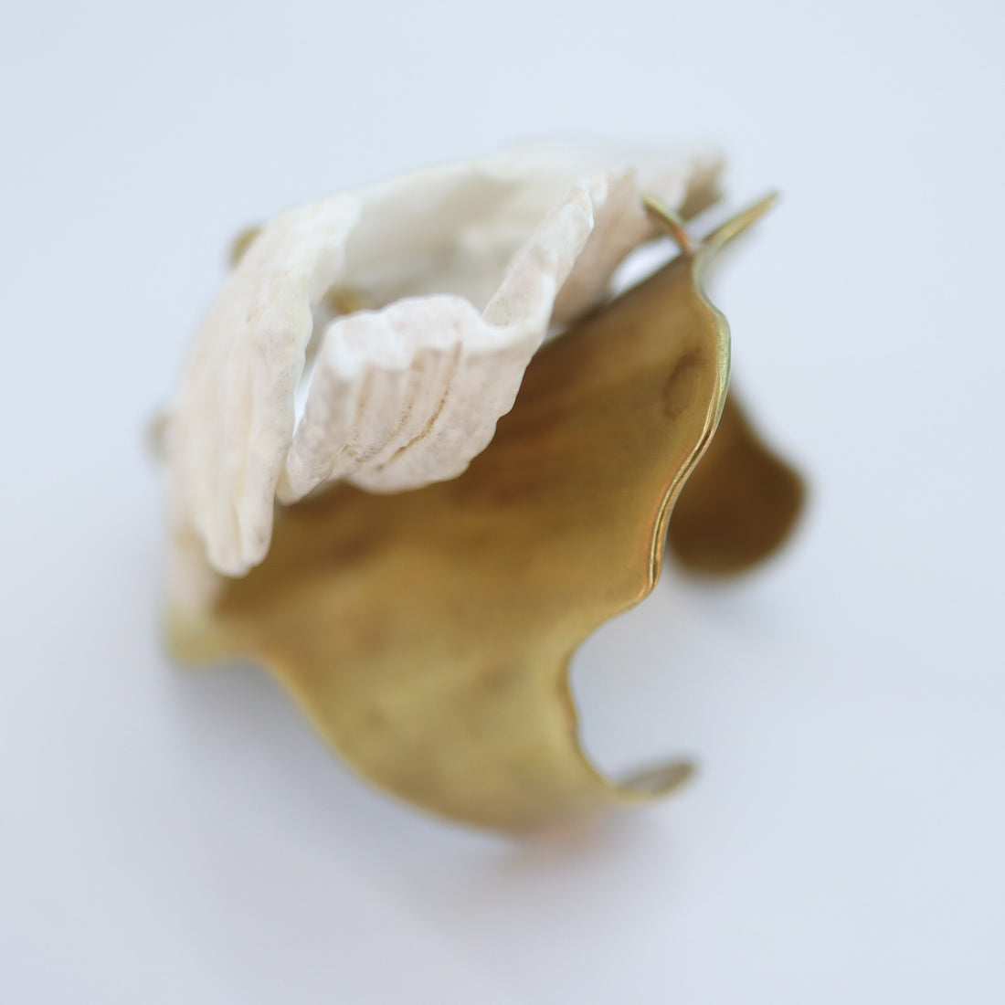 O'Tru no Trus  OBJECT 15 シャコ貝