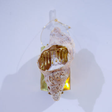 O'Tru no Trus  OBJECT 05 貝