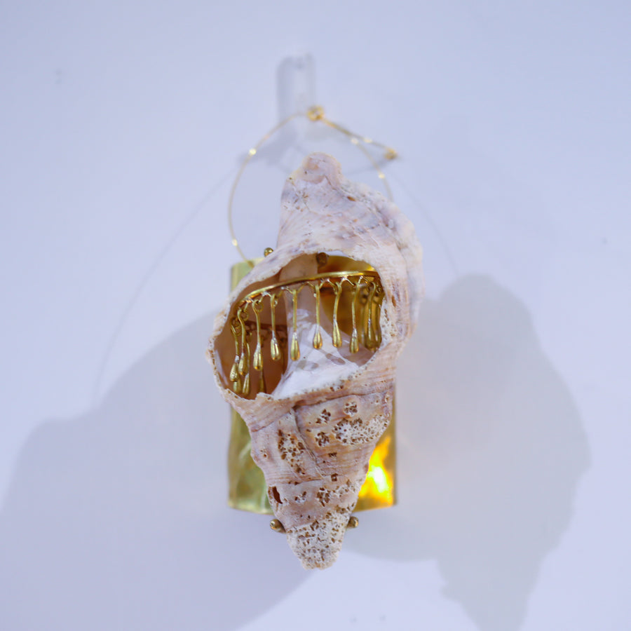 O'Tru no TrusOBJECT 05 貝