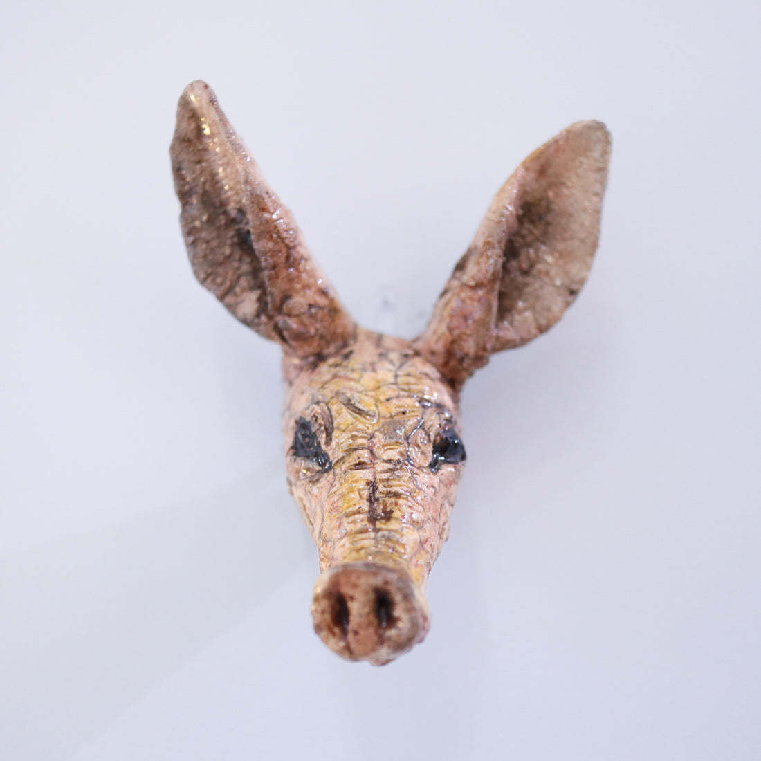 SASKIA DE ROOY  ANIMAL MASK AADVARK