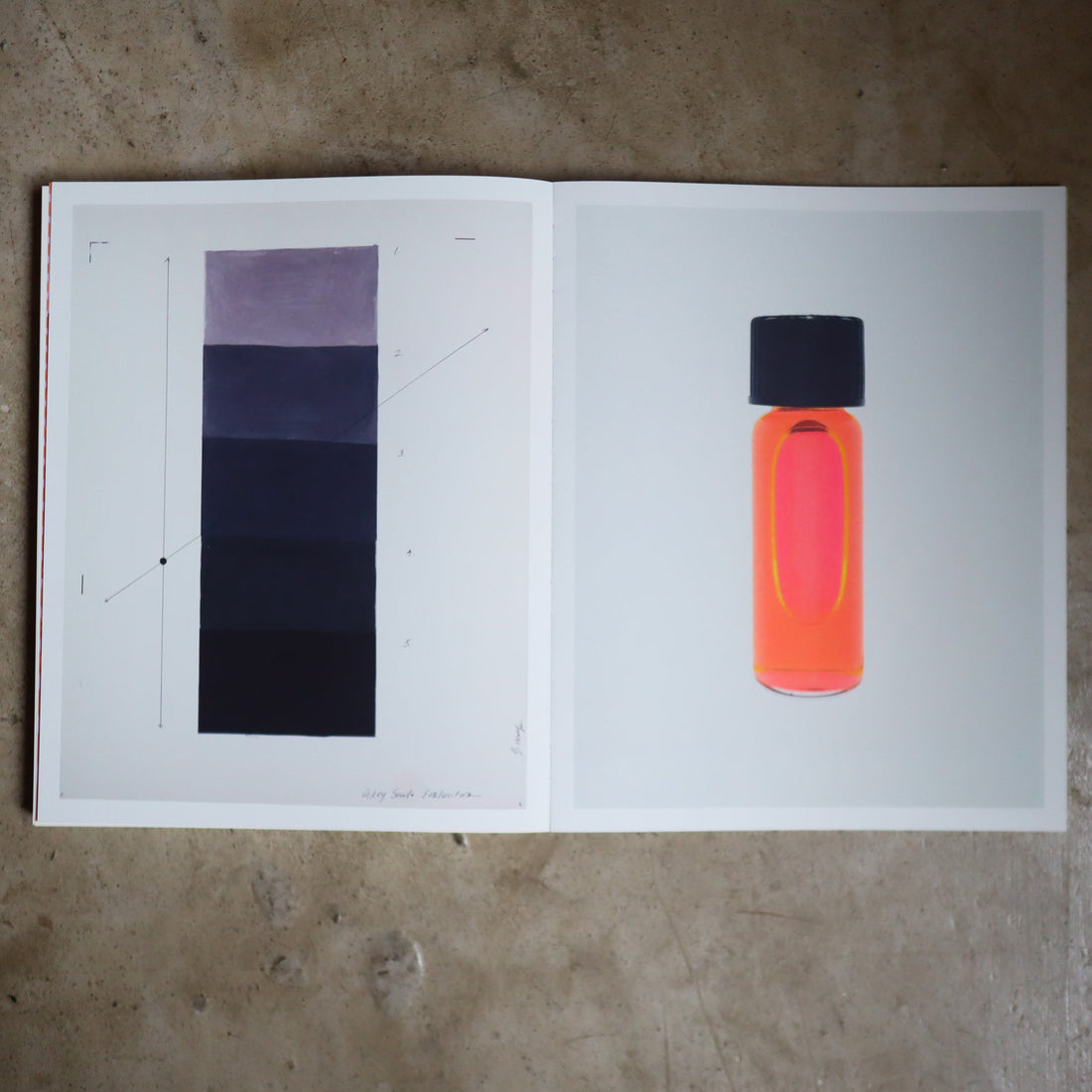 JULIE WOLFE “APOPHENIA”