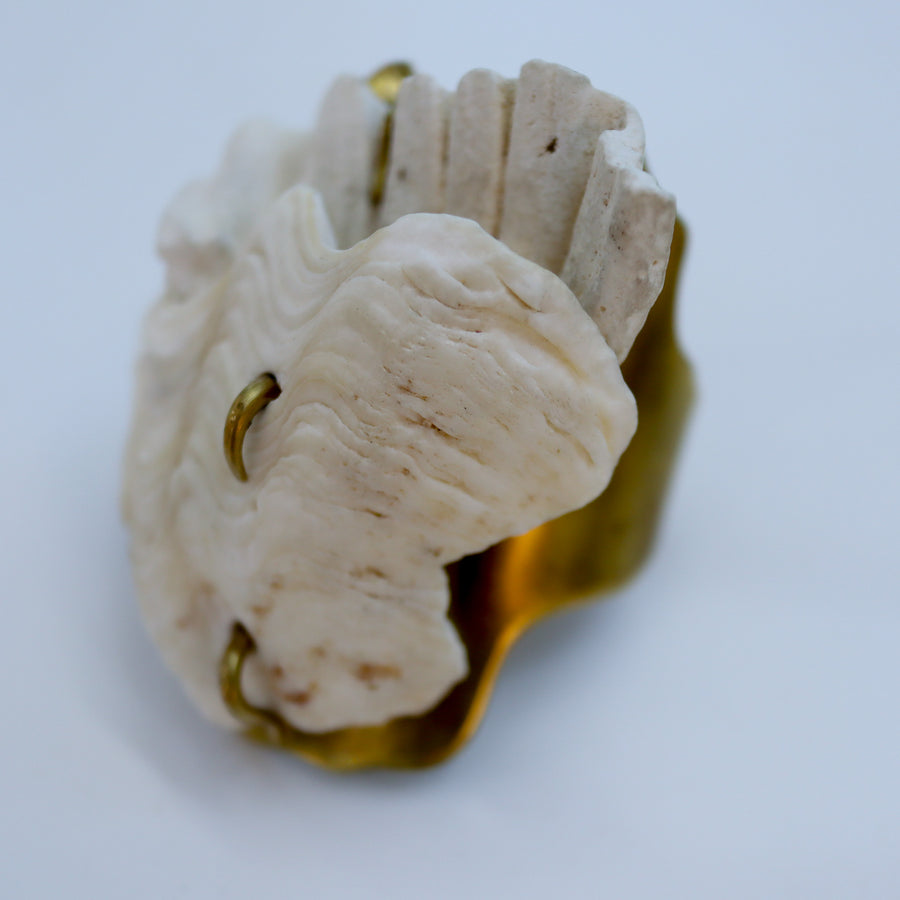 O'Tru no TrusOBJECT 15 シャコ貝