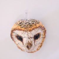 SASKIA DE ROOY  WALL HANGING OWL2