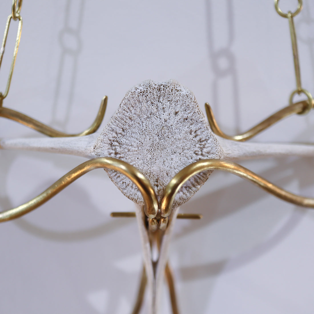 O'Tru no Trus  OBJECT 22 イルカの背骨