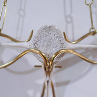 O'Tru no Trus  OBJECT 22 イルカの背骨