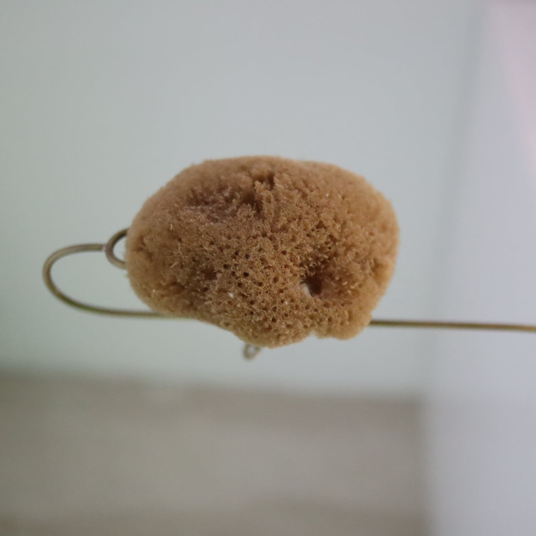 O'Tru no Trus  OBJECT 30 海綿