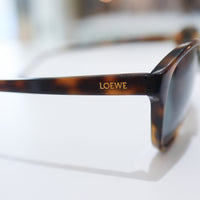 ANIGIG  MOLDING GLASSES TORTOISESHELL×ICEGREY