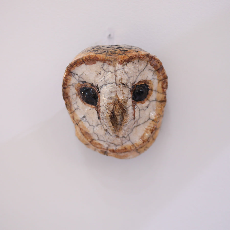 SASKIA DE ROOYWALL HANGING OWL2