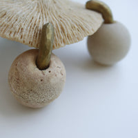 O'Tru no Trus  OBJECT 52 珊瑚と浮