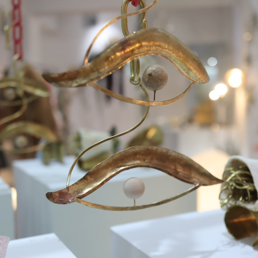 O'Tru no TrusOBJECT 23 テリハボクの種