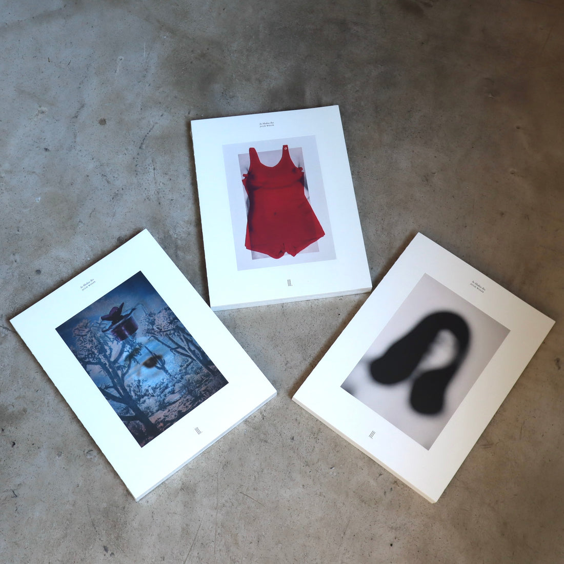 JULIE WOLFE “APOPHENIA”