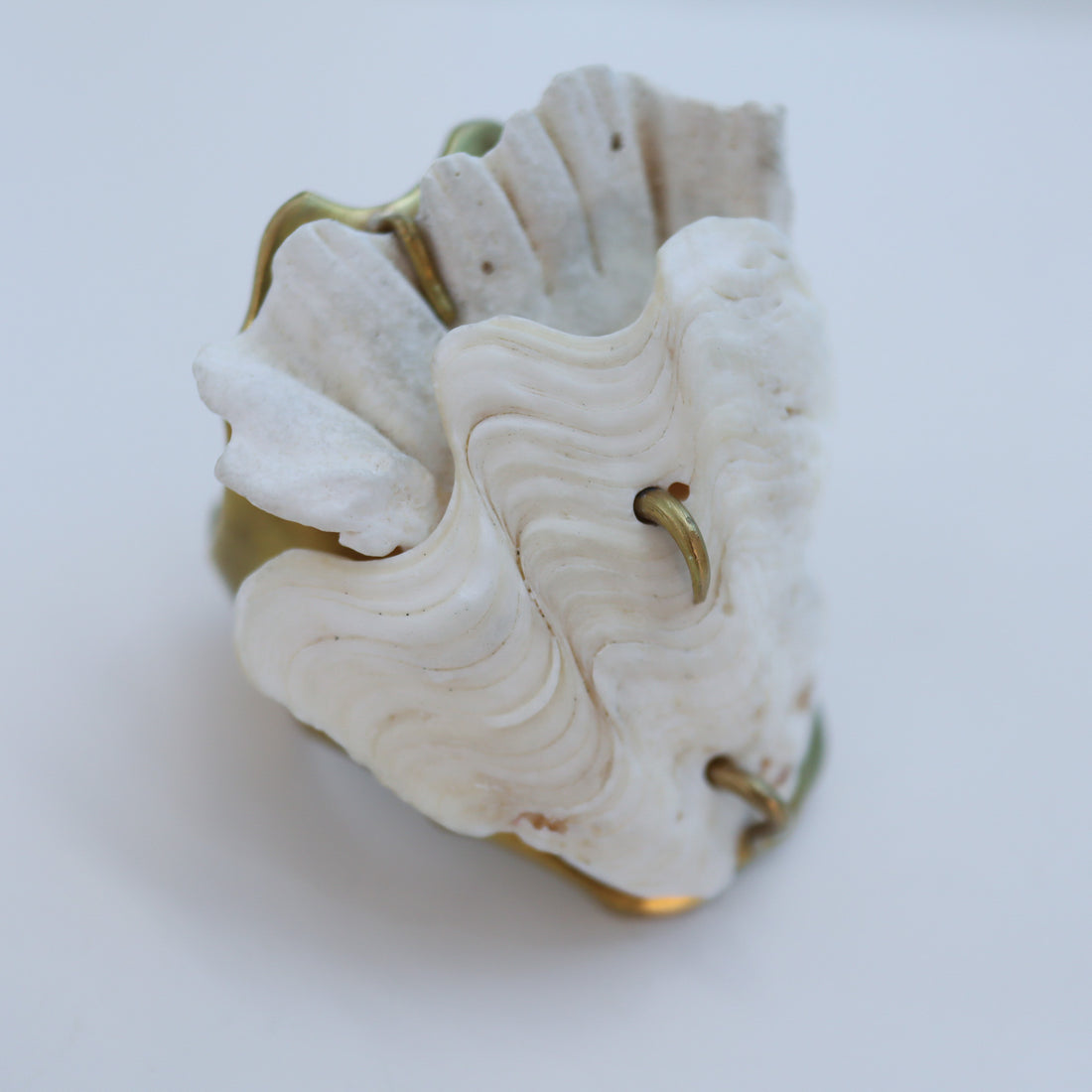 O'Tru no Trus  OBJECT 15 シャコ貝