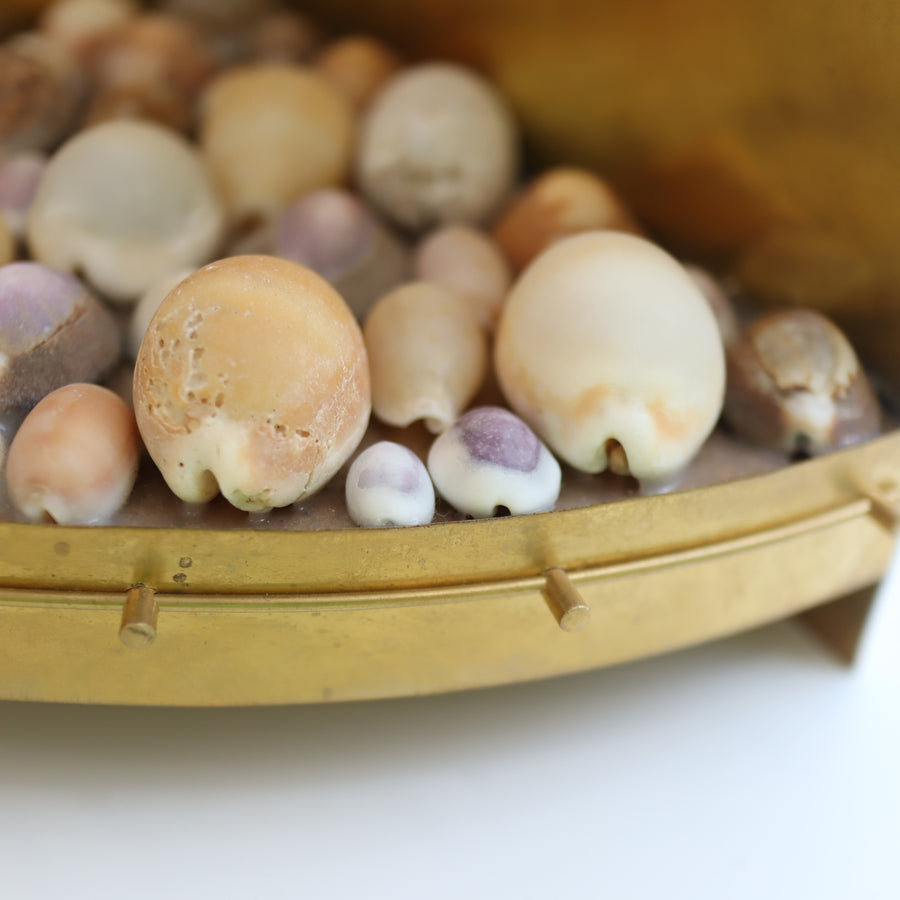 O'Tru no TrusOBJECT 44 宝貝