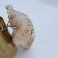 O'Tru no Trus  OBJECT 05 貝