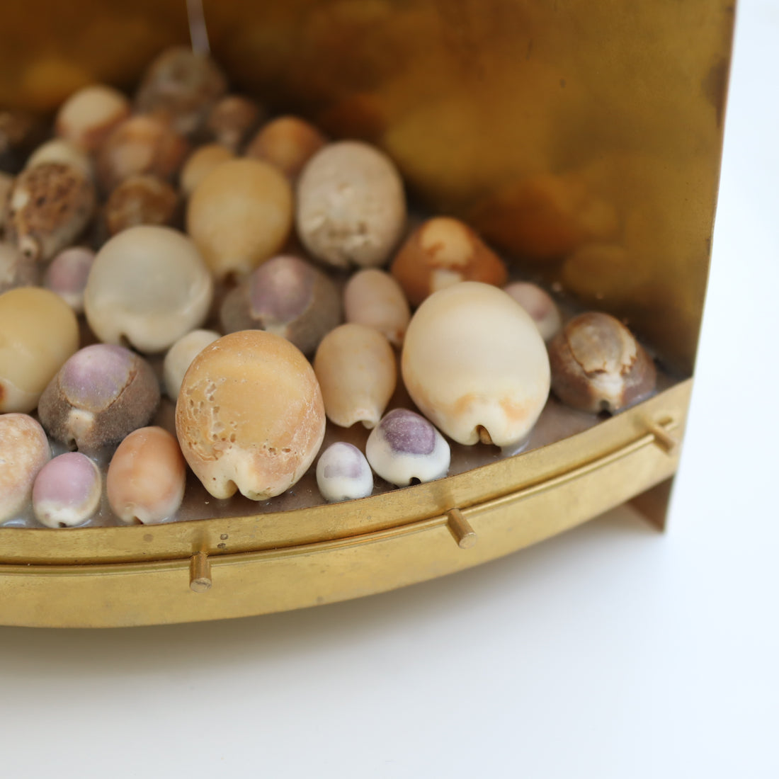 O'Tru no Trus  OBJECT 44 宝貝