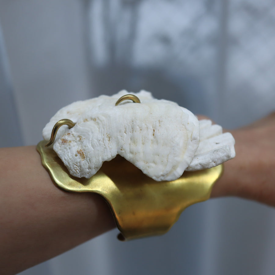 O'Tru no TrusOBJECT 15 シャコ貝