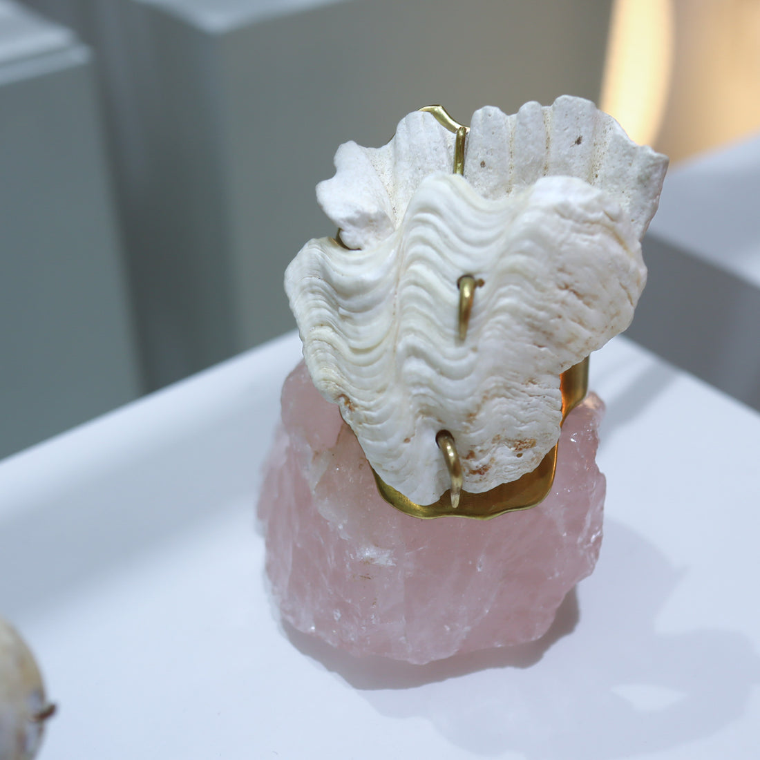 O'Tru no Trus  OBJECT 15 シャコ貝