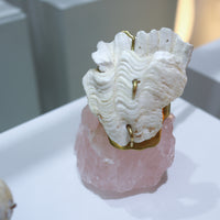 O'Tru no Trus  OBJECT 15 シャコ貝