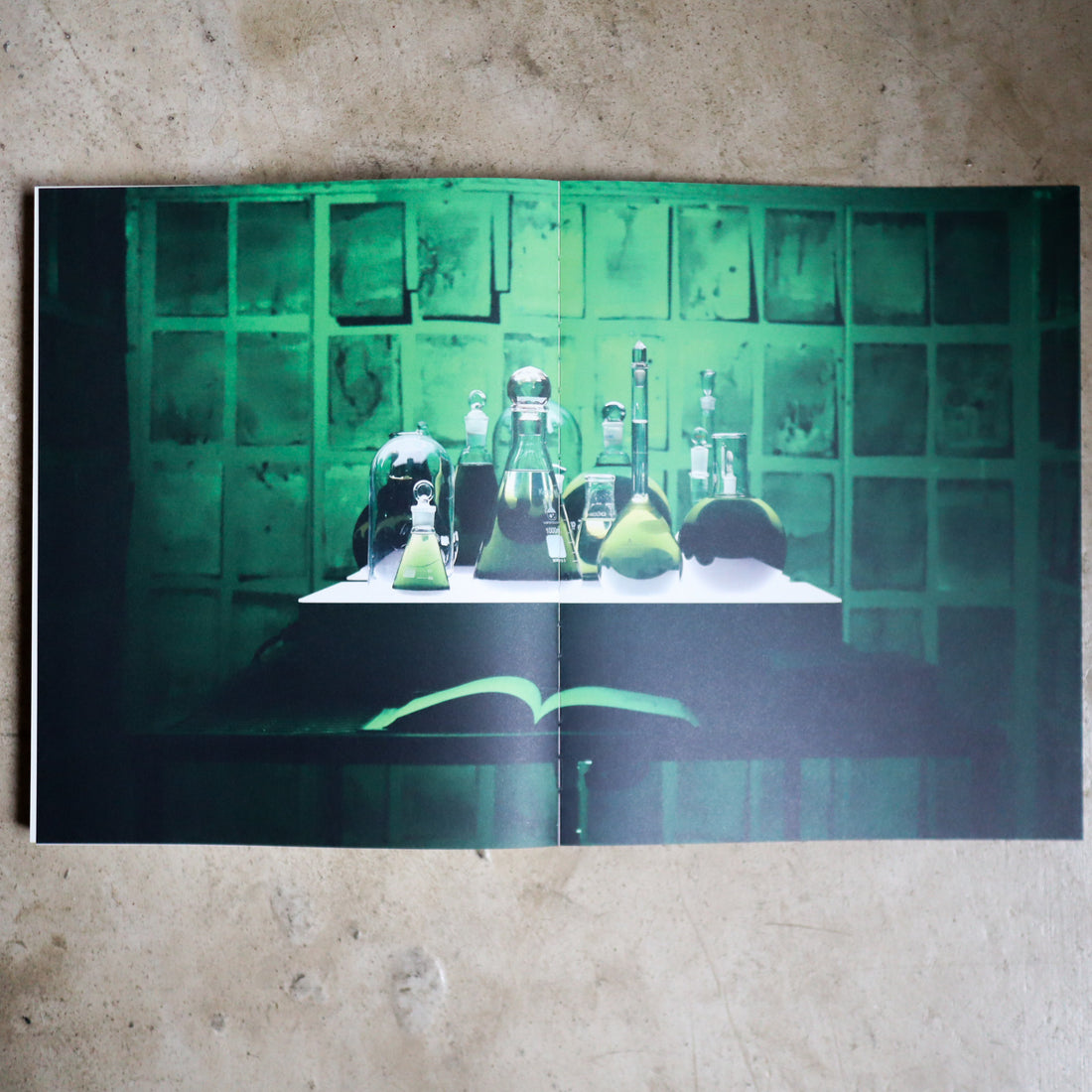 JULIE WOLFE “APOPHENIA”