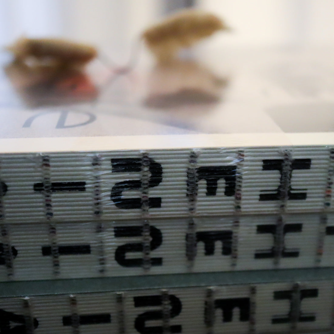 JULIE WOLFE “APOPHENIA”