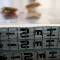 JULIE WOLFE “APOPHENIA”