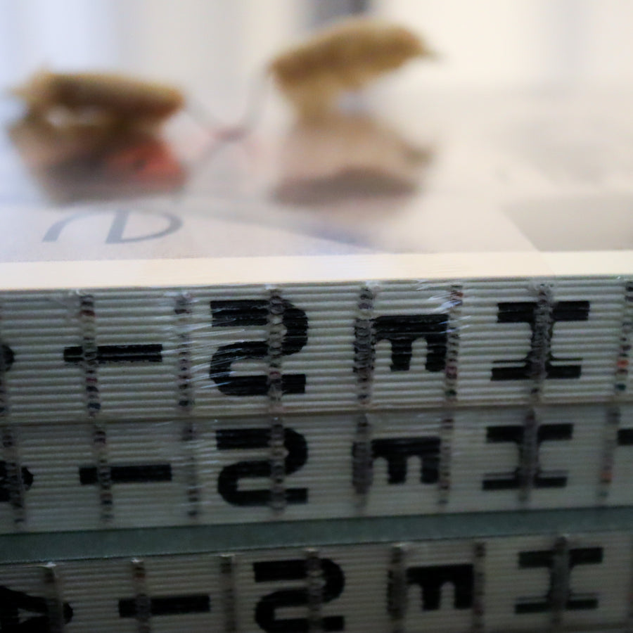 JULIE WOLFE “APOPHENIA”